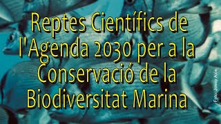 Reptes científics de l'agenda 2030 per a la conservació de la biodiversitat marina