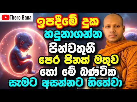 ඉපදීමේ දුක හදුනාගන්න පින්වතුනි! එවිට ඔබට නිවනේ දොර ඇරේවි | Hasalaka Seelawimala Thero Bana 2025