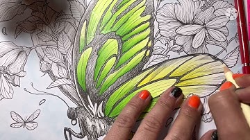 Fragile World by Kerby Rosanes Color Along Part 2