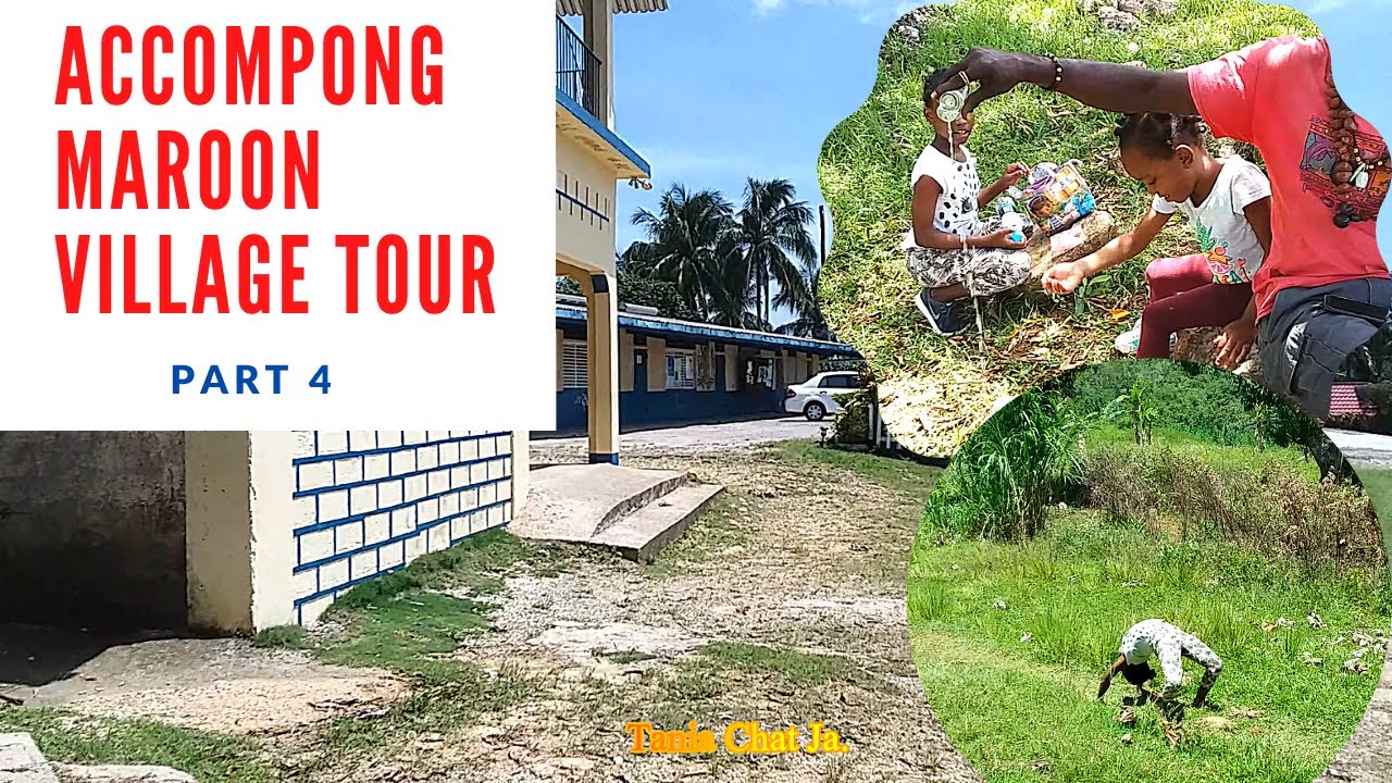 accompong maroon tour