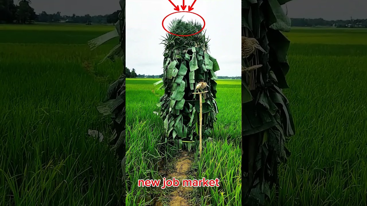 market for bok dhora Bangladesh 