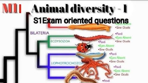 | Ku BSc Botany - Complementary Zoology  S1 Exam oriented questions | Module - II |