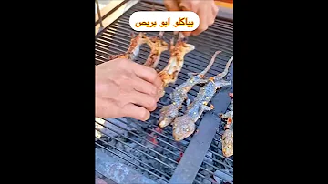 اغرب اكل بياكلو ابو بريص السحليه طبخ الغداء اربح من الانترنت مأكولات 