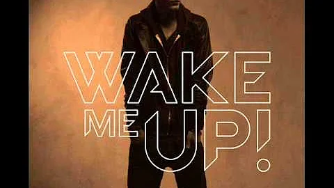 Avicii Ft. Aloe Blacc - Wake Me Up (Official Radio Edit) (Lyrics)