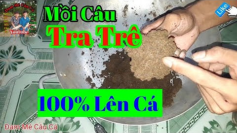 Câu Cá TV Bài Mồi Chuyên Câu Cá Tra, Trê, Chép Đã thử nghiệm hiệu quả và vi diệu