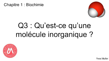 Quelles sont les molécules inorganiques ?