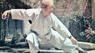 Professor Cheng ManCh'ing  Yang style Short Form Tai Chi Chuan