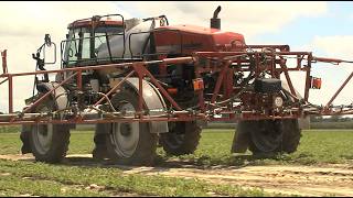 Dicamba kehrt für georgische Landwirte zurück: Was die neue EPA-Regelung für Baumwollanbauer bede...
