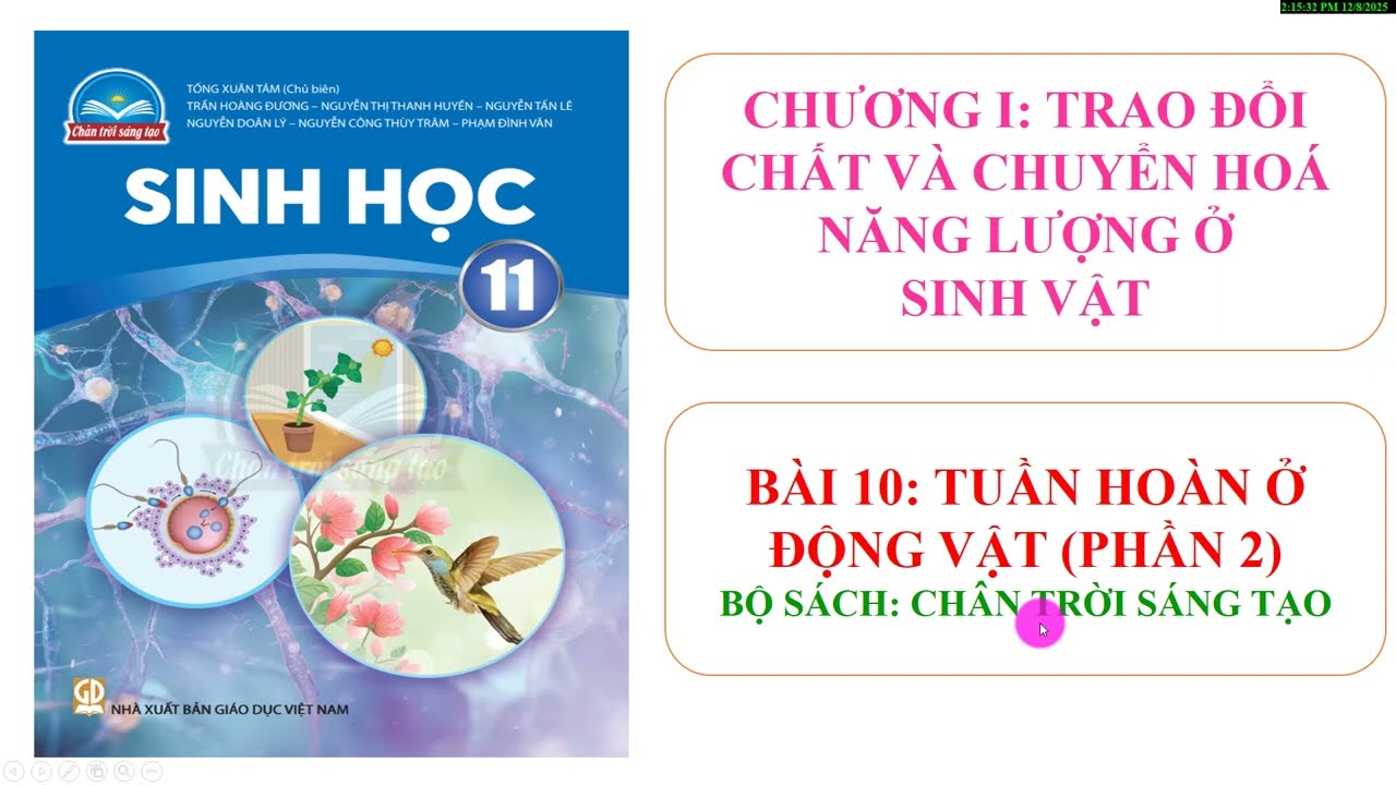 SINH HỌC 11 Bài 10. Tuần hoàn ở động vật (Phần 2)