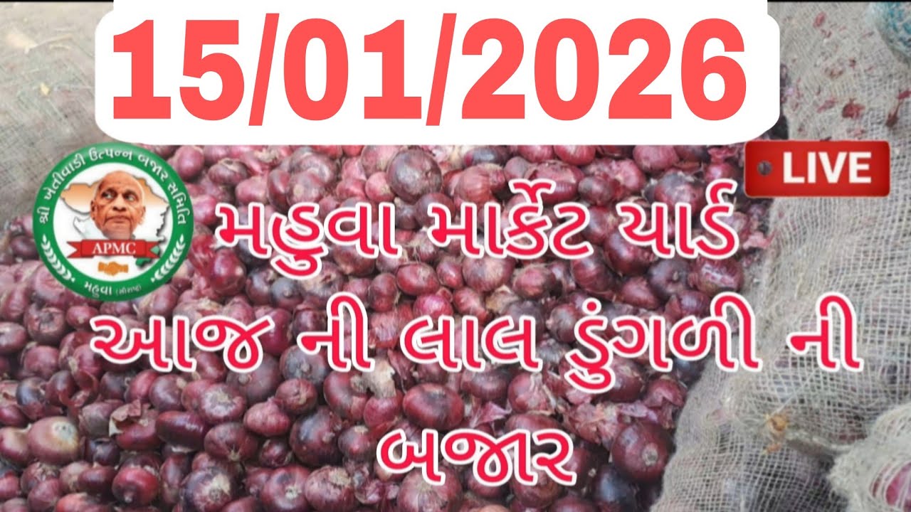 15 January 2026 || મહુવા માર્કેટ યાર્ડ || બજાર ભાવ || માર્કેટ યાર્ડ || mahuva onion market || today 