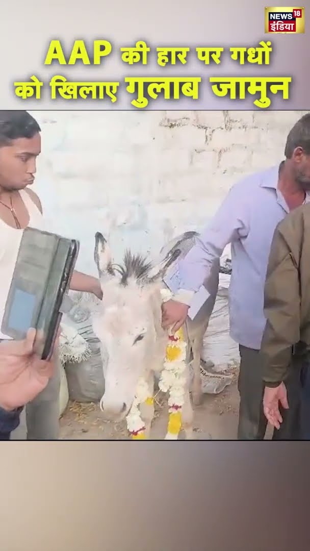 AAP की हार पर गधों को खिलाए गुलाब जामुन | #Shorts | N18S
