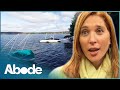 1st Time Cottage Buyers Get an Unexpected Shock! | Whats For Sale S1 E7 | Abode