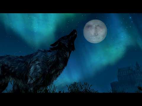 Skyrim, but I'm a Wolf