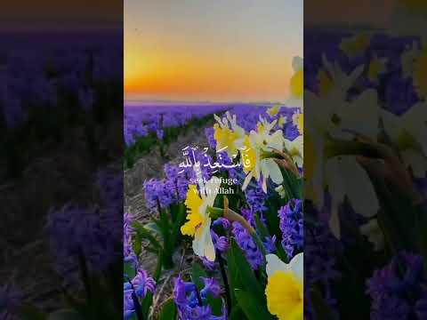 تلاوة مؤثرة جدا للشيخ إدريس أبكر حالات واتس اب دينية قصيرة قران كريم