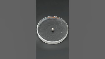 Sodium and potassium vs liquid nitrogen