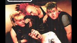 その他 LP Exploited Singles Collection DOJOLP118 DOJO /00260 The Exploited – Singles Collection – CD (Compilation), 1993