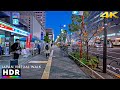 Japan - Tokyo Toyocho Late Afternoon Walk to Night • 4K HDR