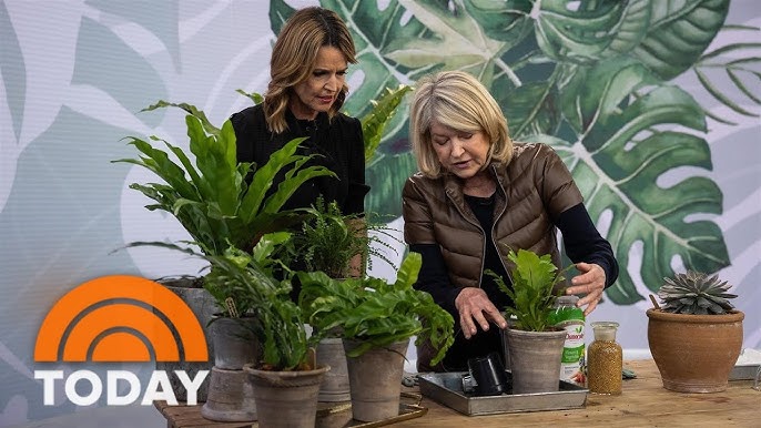 Why Martha Stewart Uses Bubble Wrap To Plant Potted Vegetables