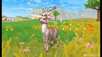 Shell coin Is back! | Utopia origin (创造和魔法) Future update | Mount, pet, wall form, main lobby