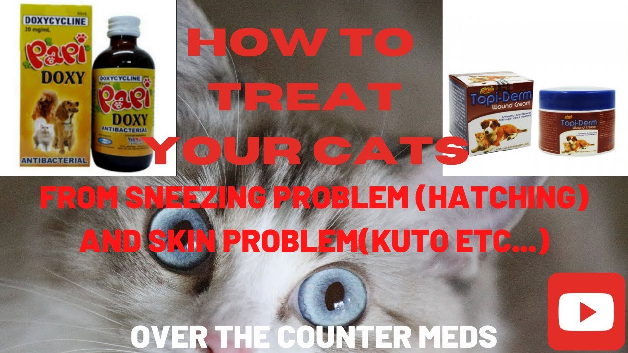 OVER THE COUNTER MEDICINE FOR OUR CAT SNEEZING AND SKIN PROBLEM(TAGALOG