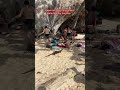 Beach Day Not Just Yours Water Monitor Appears рџЊЉрџ Ћ Itsallaboutyou Weekendvibes Marginofsafety Beach Day Not Just Yours Water Monitor Appears рџЊЉрџ Ћ Itsallaboutyou Weekendvibes Marginofsafety
