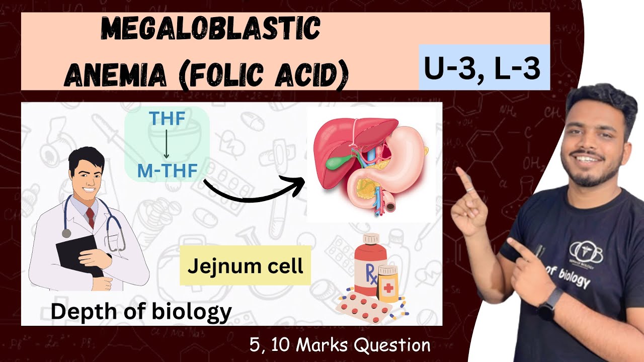 folic acid deficiency anemia folic acid deficiency anemia