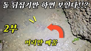 돌 뒤집기만 하면 대박술안주가 뜨글바글 하게 잡을 수 있다?!!+(ft.2부)