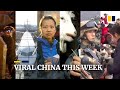 Viral China this week: Chinese farmers build full-size Airbus A320 model and more