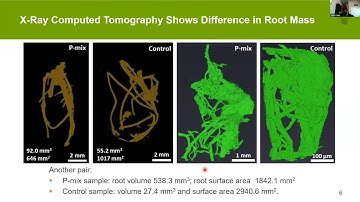 SSRL EMSL Workshop: Endophyte-promoted phosphorus solubilization in poplar