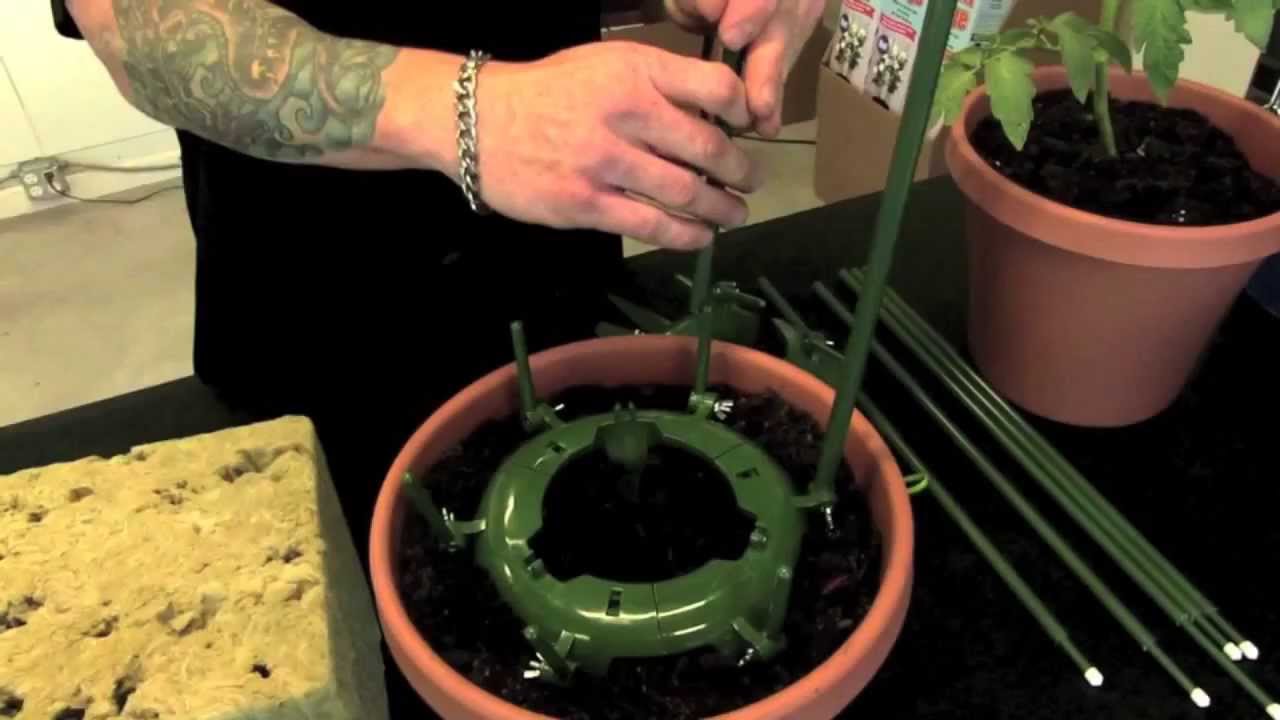 How to Use Sunlight Supply's 740200 Ultimate Plant Cage