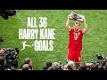 ALL 36 Harry Kane Goals Bundesliga S Top Scorer 