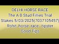 Delhi horse race l 05/03/2025 l Delhi race l Delhi horse race tips l today horse race
