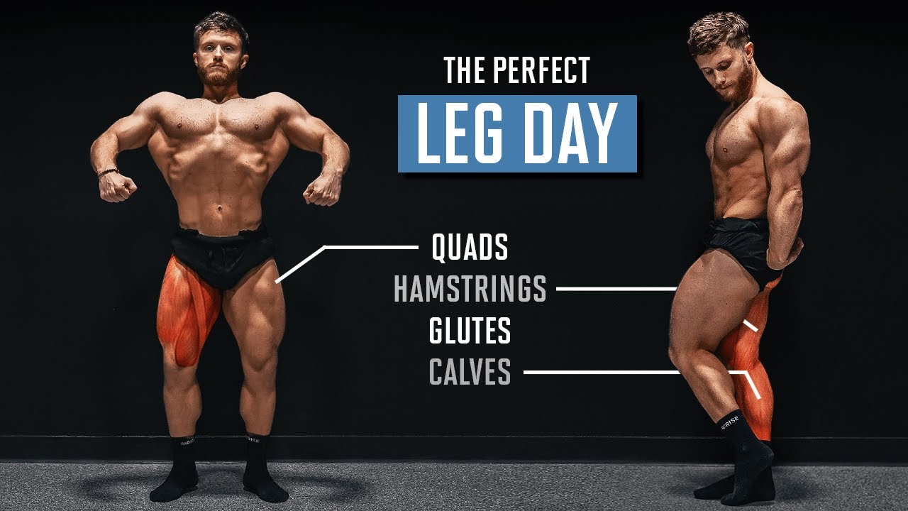 The Perfect Lower Body Workout (According To Science)