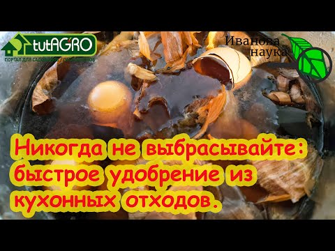 КОРНИ МОЩНЫЕ КАК У ДУБА, ЛИСТЬЯ ЗЕЛЕНЫЕ КАК ИЗУМРУД! Очень простая домашняя бесплатная подкормка.