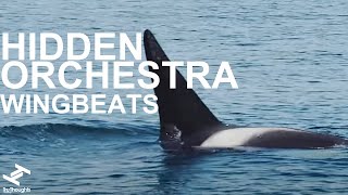 Hidden Orchestra - Wingbeats (Official Video) chords