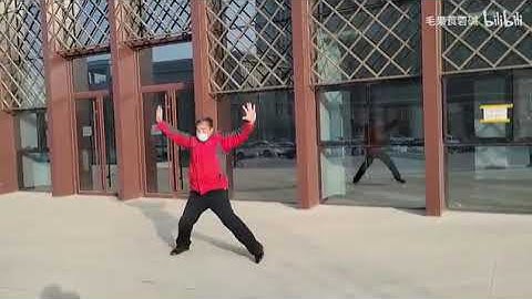 Xing Yi Quan Linking forms 形意拳 - 五行连环拳 Wu Xing Quan