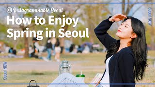 [Seoul Now] How To Enjoy Spring In Seoul #Beautiful_Spot_In_Seoul