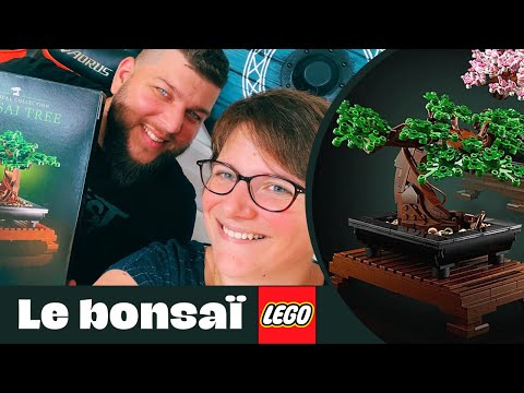 Rose ou vert ? Découverte du Bonsaï de chez Lego 