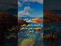 الكرامة في الحب كرامة في الحب حب بلا تضحيات احترام الذات قوة الكرامة أثير