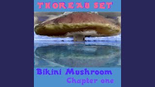 Acid Rain - Thoreau Set