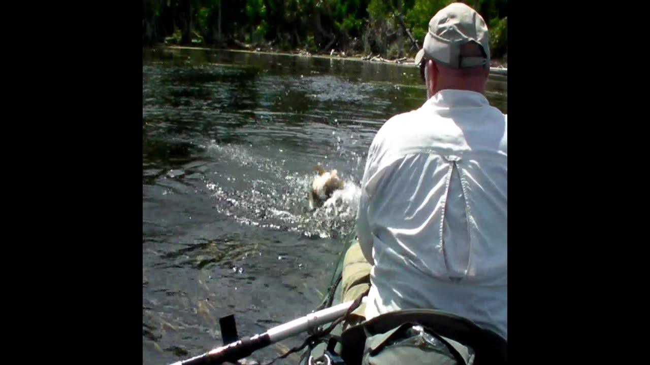 Big Bass on Capt Ken's Designer Bass FROG Hook.wmv 