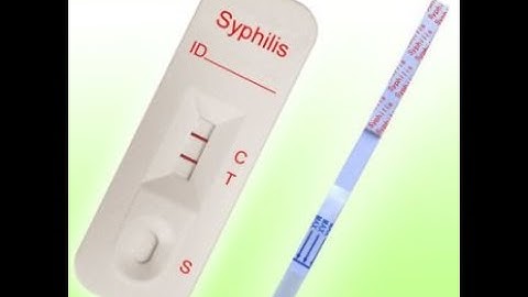 Rapid test kit assembly machine (automatic)