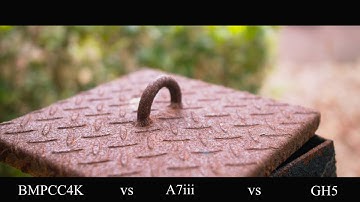 BMPCC4K vs GH5 vs A7iii | Can They Be Matched With ARRI Colours?