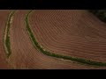Plantation 5ha permaculture au vignoble darton