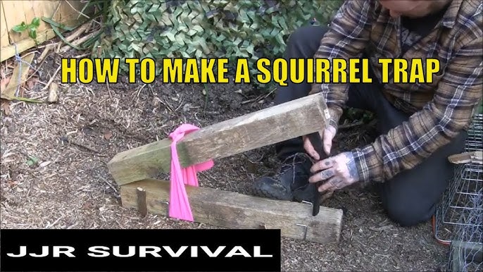 Viking Repeating Multi-Catch Squirrel Traps