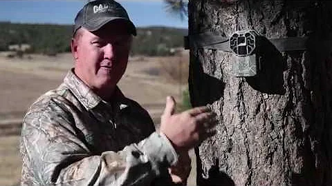 Stealth Cam G45NG Pro Overview - Danny Farris
