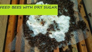 تغذية النحل بالسكر الجاف  feed bees with dry sugar