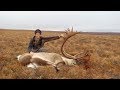 ACTION PACKED! - DIY Alaskan Caribou hunt | S2E03 | Limitless Outdoors