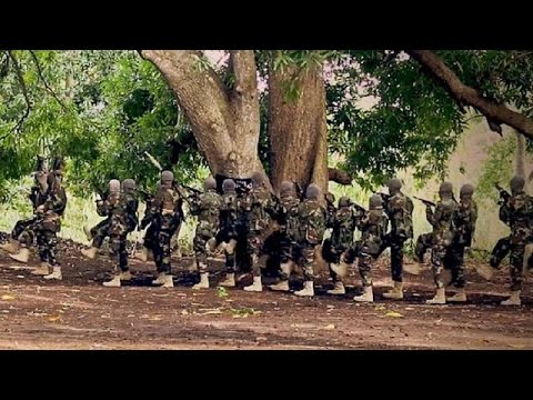 Al-Shabaab seize Somali town after overrunning army base