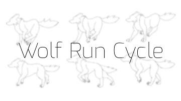 Wolf Run Cycle Practice